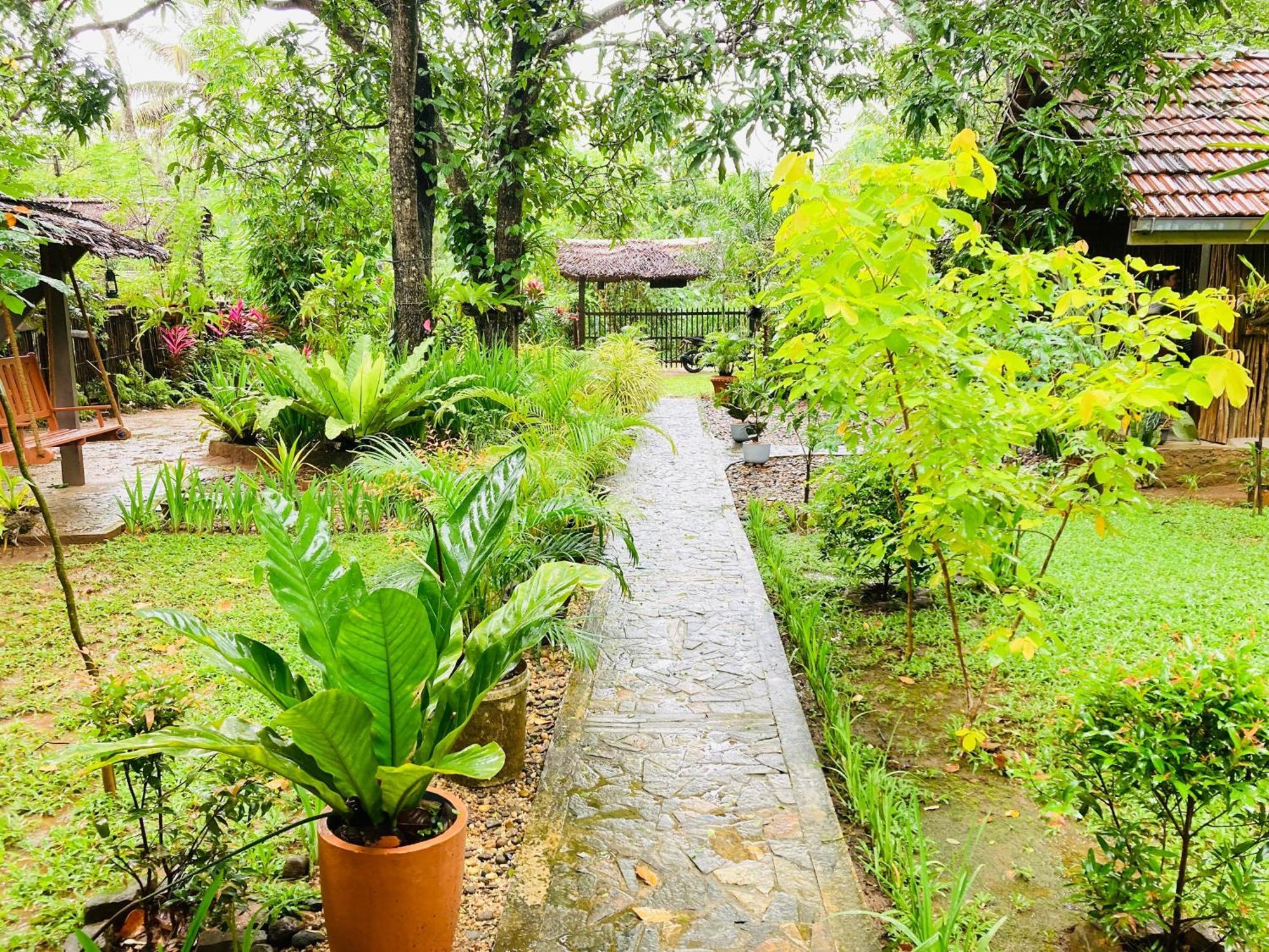 Green Paradise Cottage Udawalawa Udawalawe Exterior foto