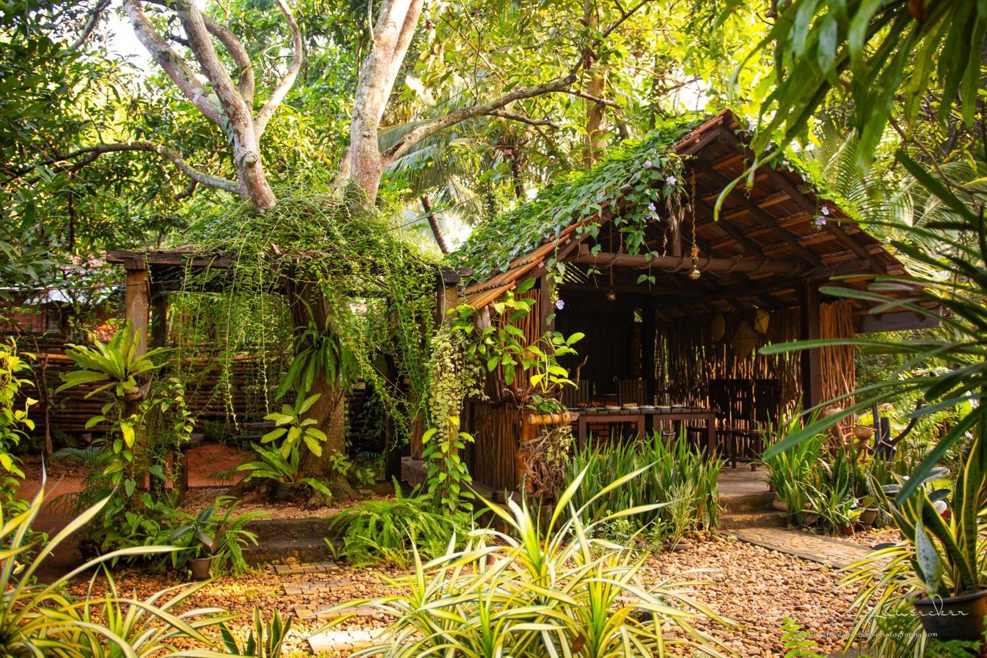 Green Paradise Cottage Udawalawa Udawalawe Exterior foto