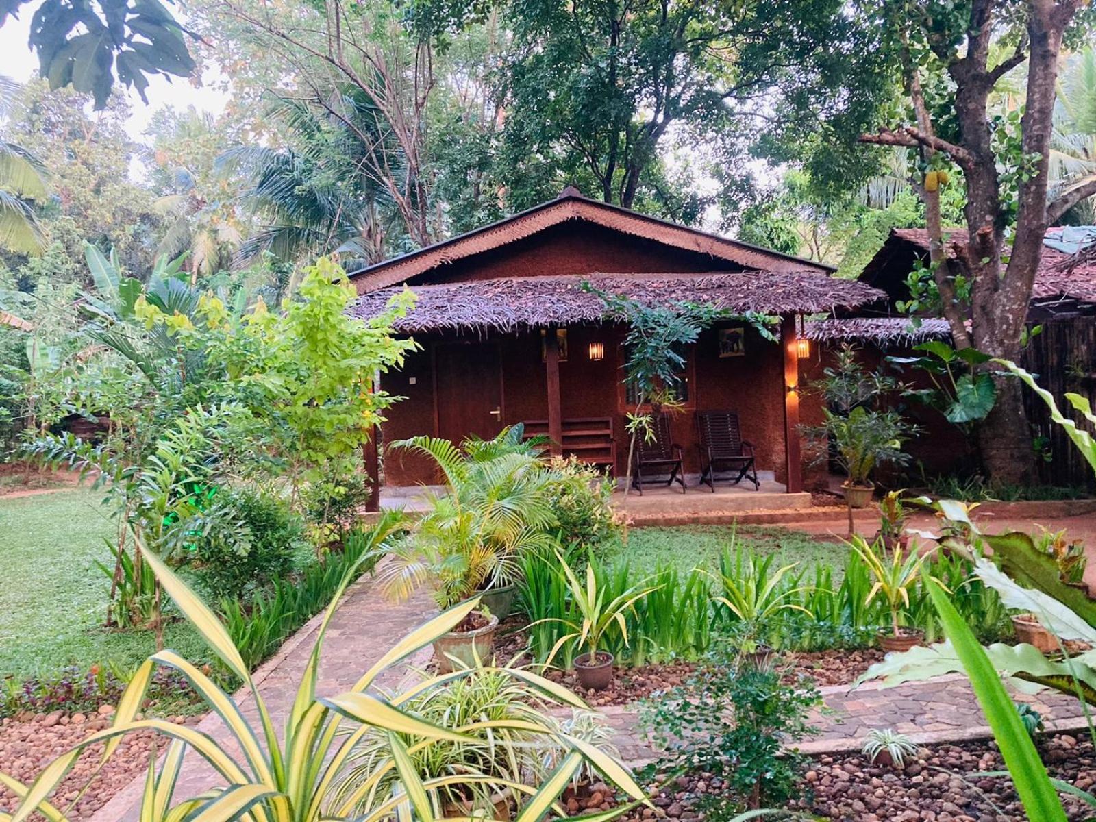 Green Paradise Cottage Udawalawa Udawalawe Exterior foto